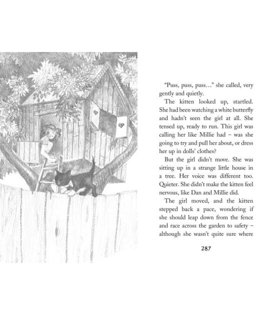 Little Tiger Press Holly Webb's Kitten Tales : Sky the Unwanted Kitten, Ginger the Stray Kitten, Misty the Abandoned Kitten