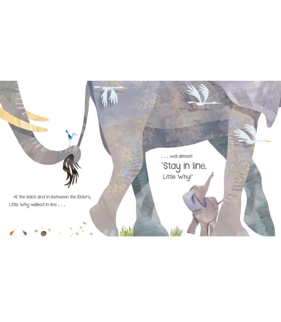 Tiger Tales Little Why