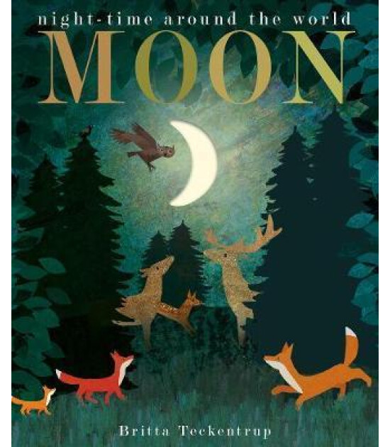 Little Tiger Press Moon