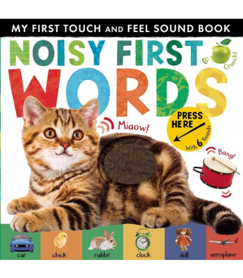 Little Tiger Press My First Touch and Feel Sound Book: Noisy First Word (New Edition)