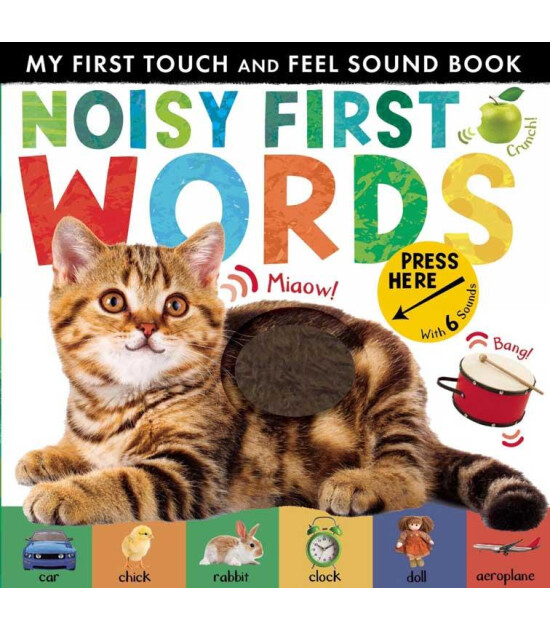 Little Tiger Press My First Touch and Feel Sound Book: Noisy First Word (New Edition)