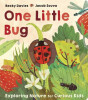 Little Tiger Press One Little: Bug