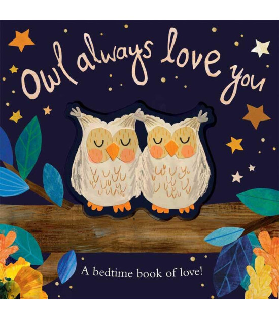 Little Tiger Press Owl Always Love You (New Edition)