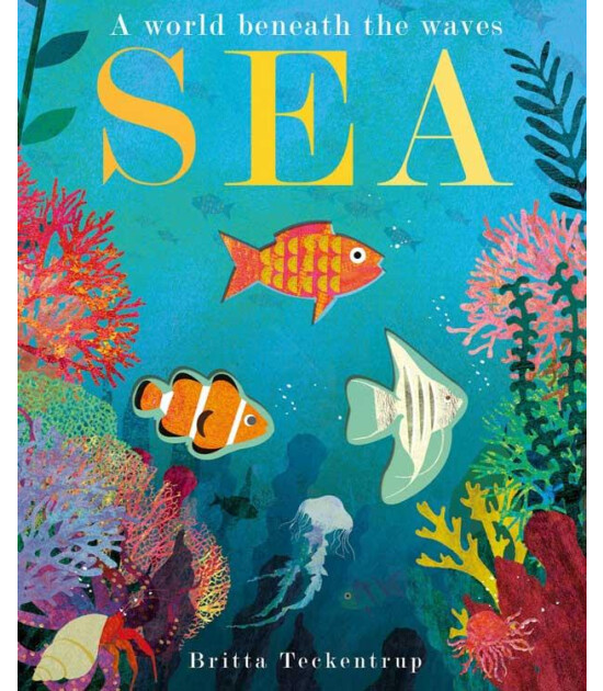 Little Tiger Press Sea : A World Beneath the Waves