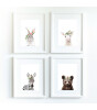 Little Forest Animals Woolly with Flower (Beyaz Çerçeve)