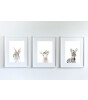 Little Forest Animals Woolly with Flower (Beyaz Çerçeve)