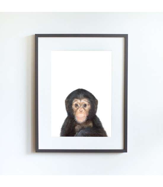 Little Forest Animals Marcel the Monkey (Gri Çerçeve)