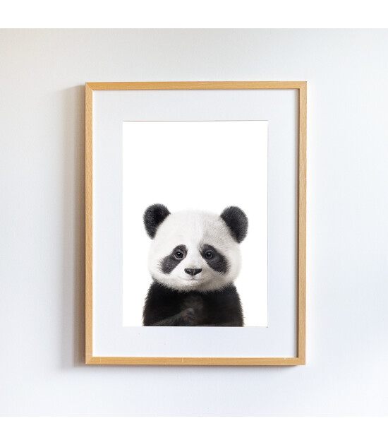 Little Forest Animals Bao the Panda (Gri Çerçeve)