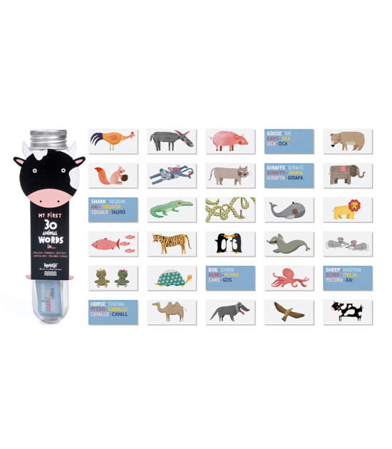 Londji Kelime Kart Oyunu // Animal