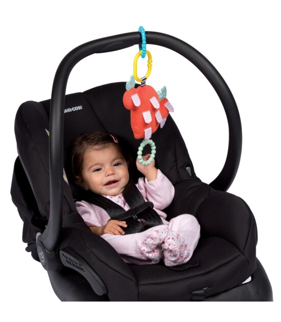 Manhattan Toy  Puset Oyuncağı Kaktüs Bahçesi