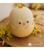 Mary's Led Gece Lambası // Chick Egg