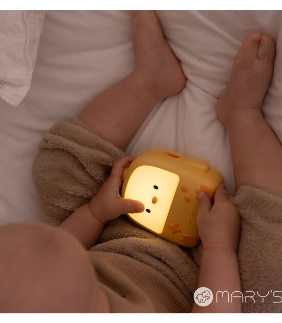 Mary's Led Gece Lambası // Baby Chick