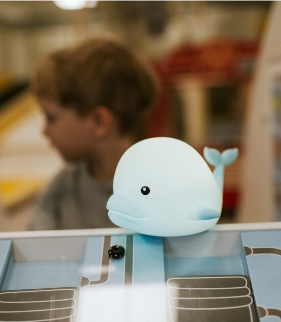 Mary's RGB Led Gece Lambası // Dolphin