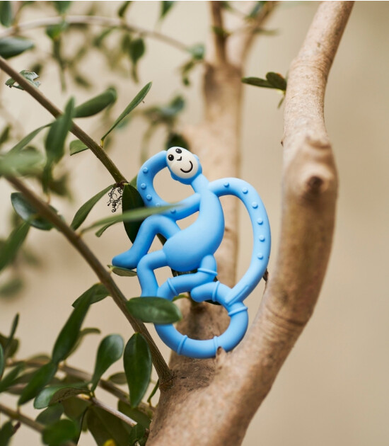 Matchstick Monkey Silikon Diş Kaşıyıcı // Elephant Echo