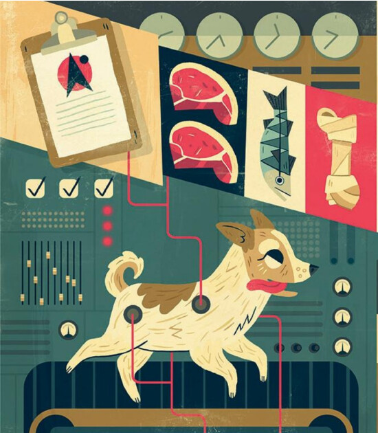 Laika Astronot Köpek