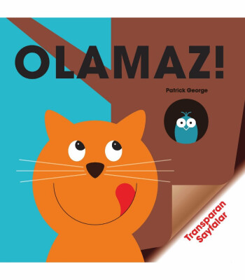 Olamaz