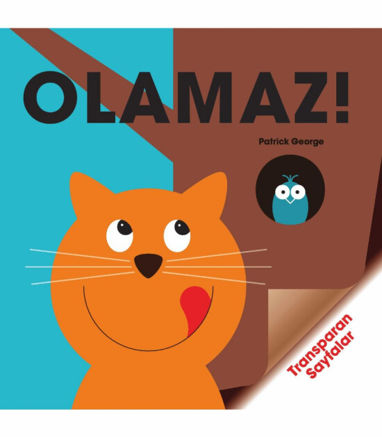 Olamaz