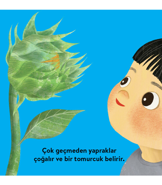 Megakids Yayıncılık Baby Britannica: Bitkiler