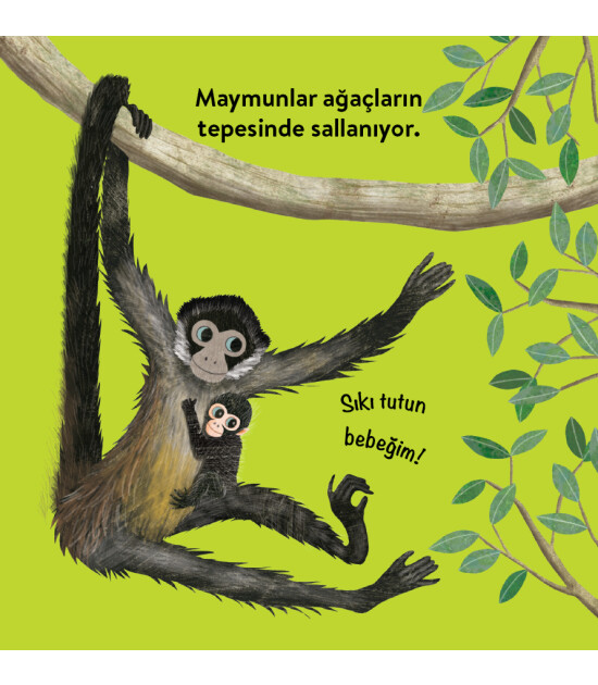 Megakids Yayıncılık Baby Britannica: Hayvanlar