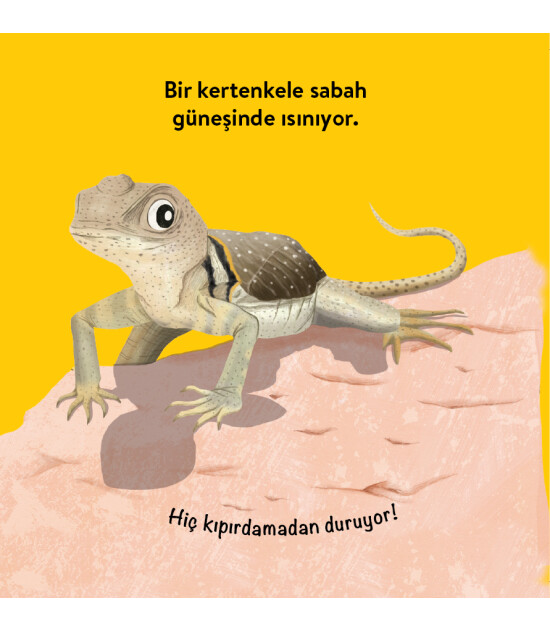 Megakids Yayıncılık Baby Britannica: Hayvanlar
