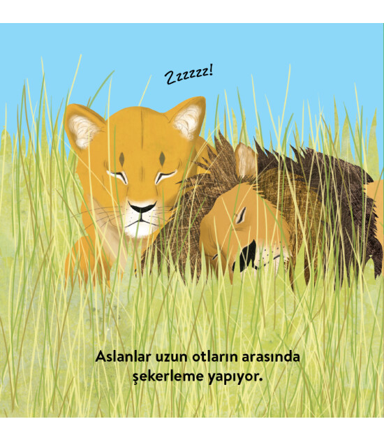 Megakids Yayıncılık Baby Britannica: Hayvanlar