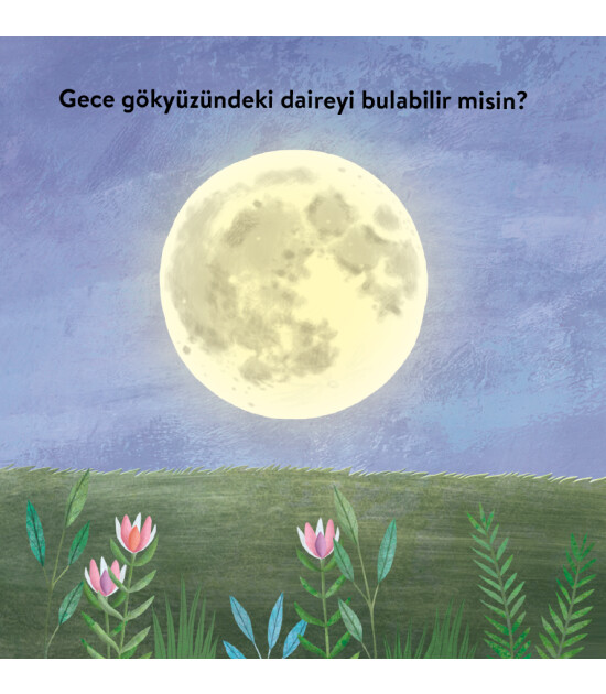 Megakids Yayıncılık Baby Britannica: Sayılar ve Şekiller