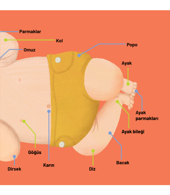 Megakids Yayıncılık Baby Britannica: Vücudumuz
