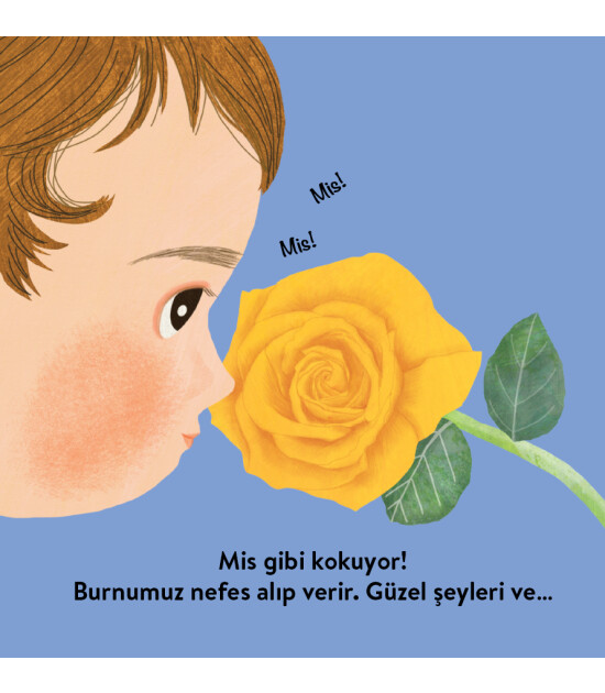 Megakids Yayıncılık Baby Britannica: Vücudumuz