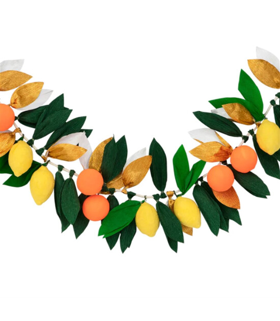 Meri Meri Asılan Süs // Turunçgiller Meyve