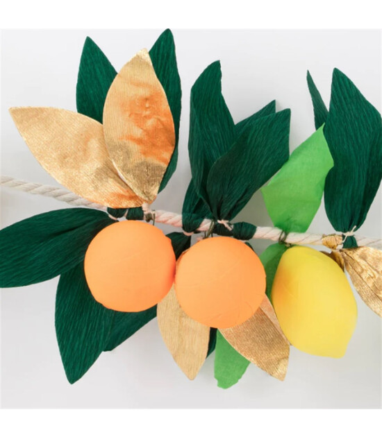 Meri Meri Asılan Süs // Turunçgiller Meyve