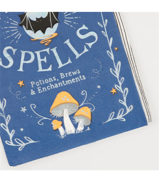 Meri Meri Parti Peçete // Make Magic