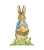 Meri Meri Parti Masa Süsü // Peter Rabbit Yumurta Avı