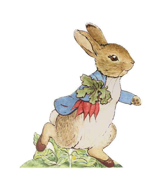 Meri Meri Parti Masa Süsü // Peter Rabbit Yumurta Avı