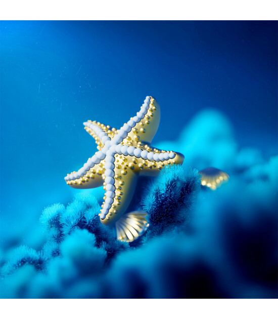 Metalmorphose Denizyıldızı Anahtarlık / &Ccedil;anta Aksesuarı