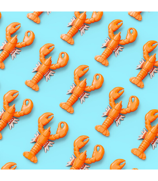 Metalmorphose Istakoz Anahtarlık