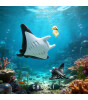 Metalmorphose Manta Vatozu Anahtarlık