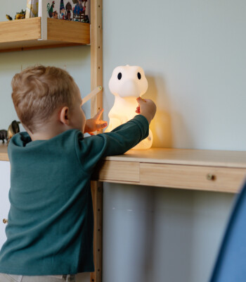 Mr. Maria Rena First Light Lamba