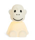 Mr. Maria Monkey First Light Lamba