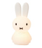 Mr. Maria Miffy Shines Table Light