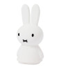 Mr. Maria Miffy Shines Table Light