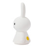 Mr. Maria Miffy Shines Table Light