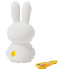 Mr. Maria Miffy Shines Table Light