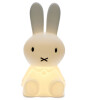 Mr. Maria Miffy XL Lamba