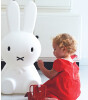 Mr. Maria Miffy XL Lamba