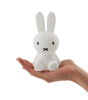 Mr. Maria Miffy Mini Lamba