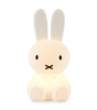 Mr. Maria Miffy First Light Lamba