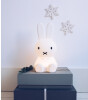 Mr. Maria Miffy First Light Lamba