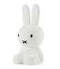 Mr. Maria Miffy First Light Lamba