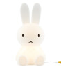 Mr. Maria Miffy Small Lamba