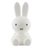 Mr. Maria Miffy Small Lamba